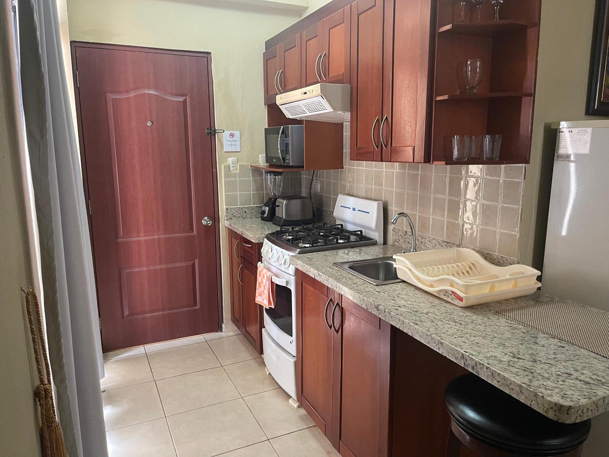 Apartahotel Alvear 산토도밍고 객실 사진