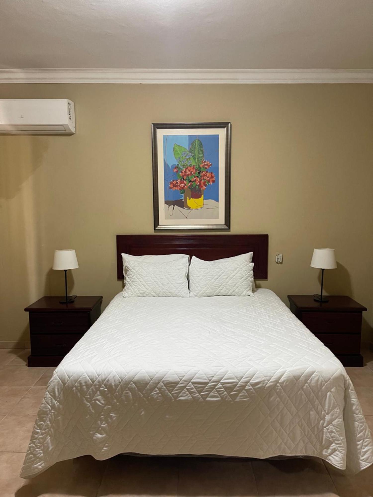 Apartahotel Alvear 산토도밍고 객실 사진